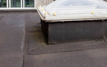 disadvantages of Seaton Delaval flat roofs
