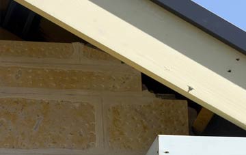 soffit repair Seaton Delaval
